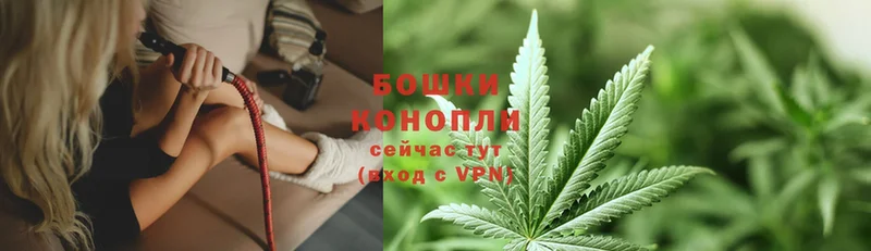 как найти наркотики  Великие Луки  omg зеркало  Бошки марихуана тримм 